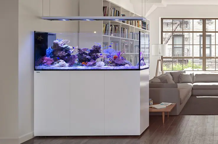 Redsea Saltvandakvarium Peninsula P650 Deluxe Hvid